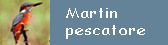 Martin Pescatore