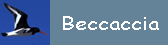 Beccaccia