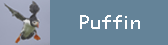 Puffin