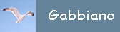 Gabbiano