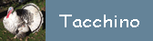 Tacchino