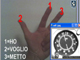 Tutorial sull'uso dell'NDB