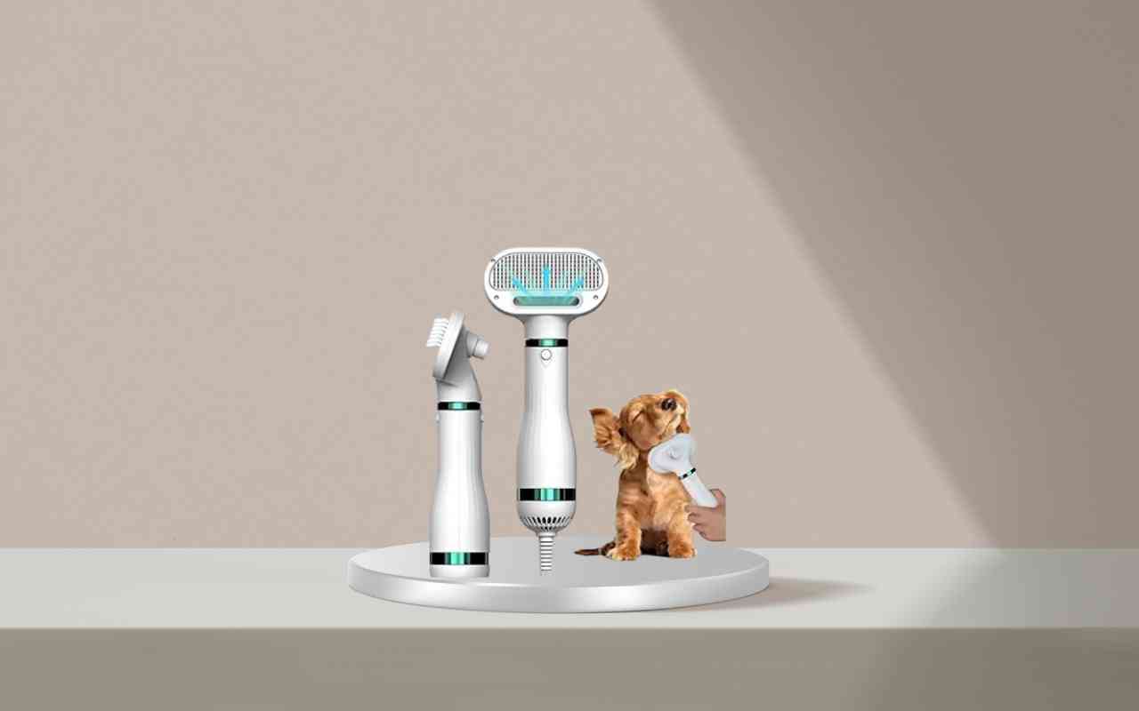 Addestra il tuo cane o gatto senza stress con Nice Pet: scopri come funziona