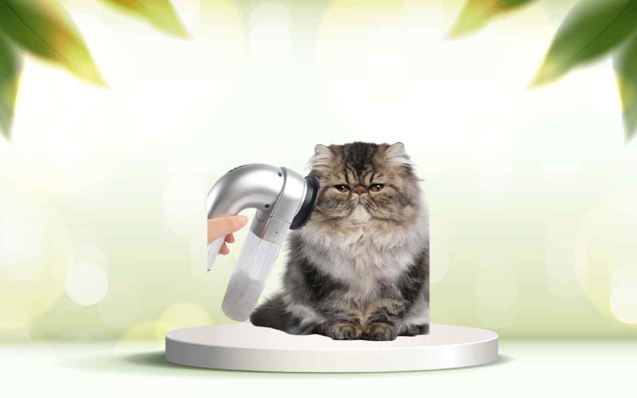 Scopri come eliminare i peli degli animali in casa con SpazzolAmica senza sforzi